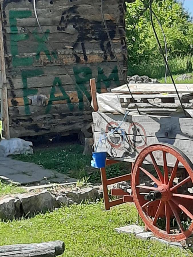Ranch Farm Stay Rakovica Ngoại thất bức ảnh